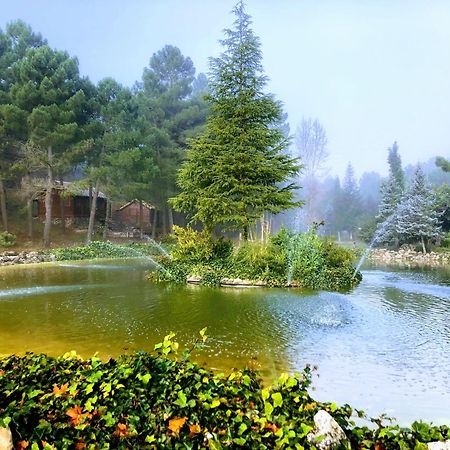 Casa Esmeralda en ZAFIRO LAGUNAZO Parque Natural Rio Mundo Riopar Riópar Exterior foto