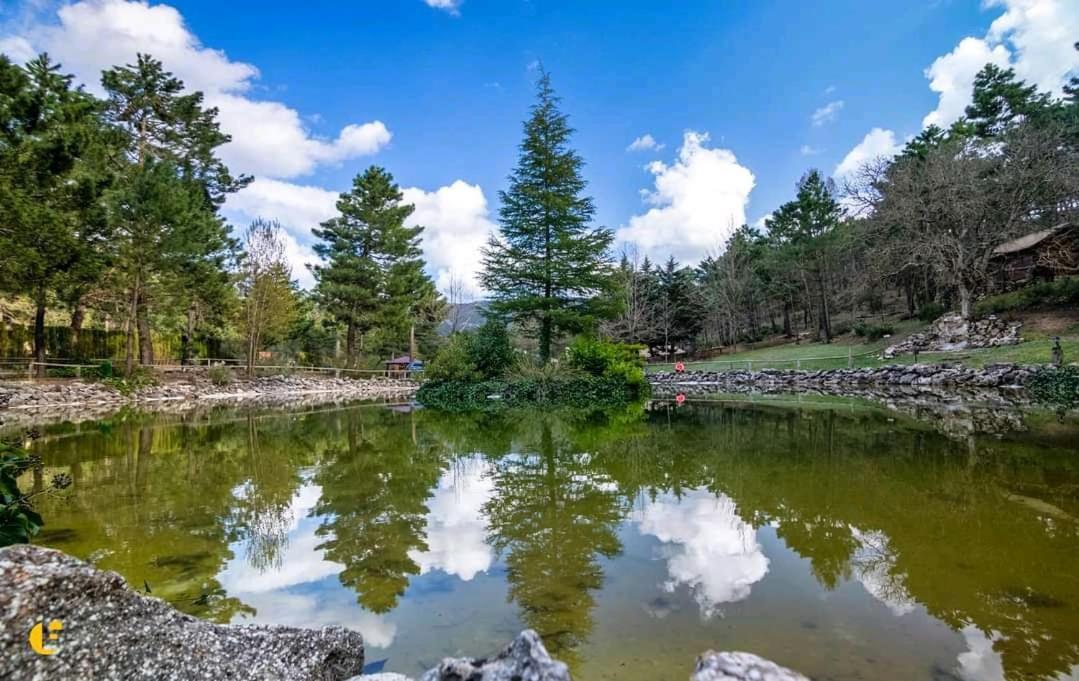 Casa Esmeralda en ZAFIRO LAGUNAZO Parque Natural Rio Mundo Riopar Riópar Exterior foto