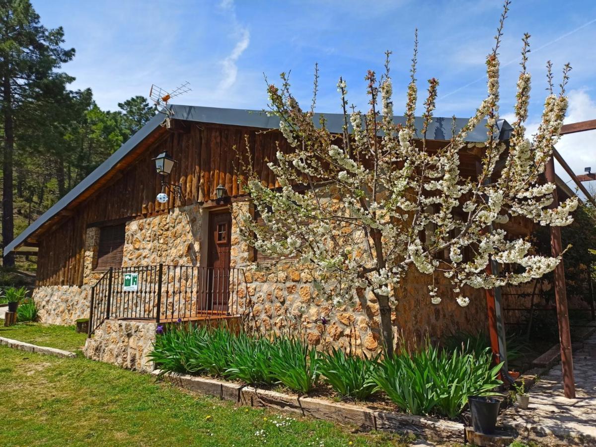 Casa Esmeralda en ZAFIRO LAGUNAZO Parque Natural Rio Mundo Riopar Riópar Exterior foto